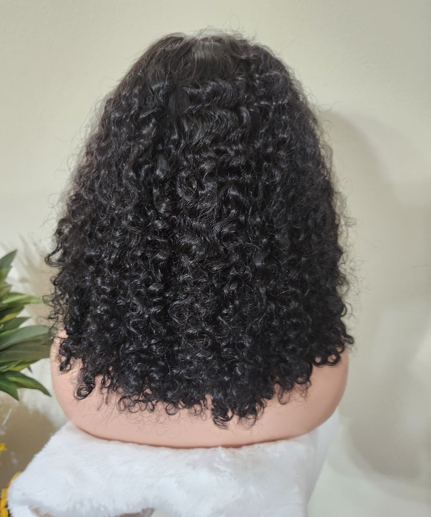14" Vietnamese Raw Hair Wig | Burmese Curly | 5x5 Closure | Natural Black