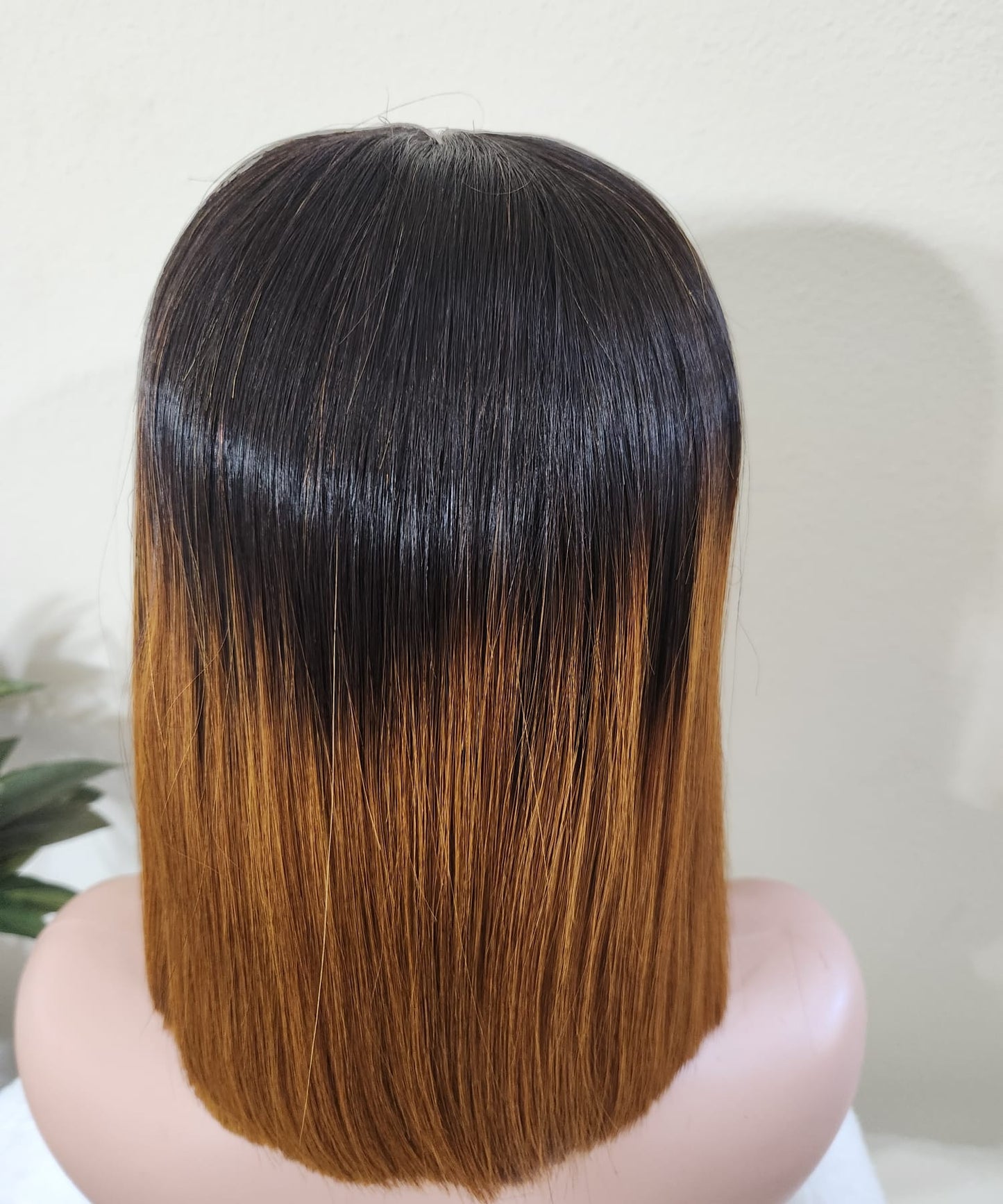10" Vietnamese Raw Human Hair Bob Wig - Brown Ombre | Sleek Cut