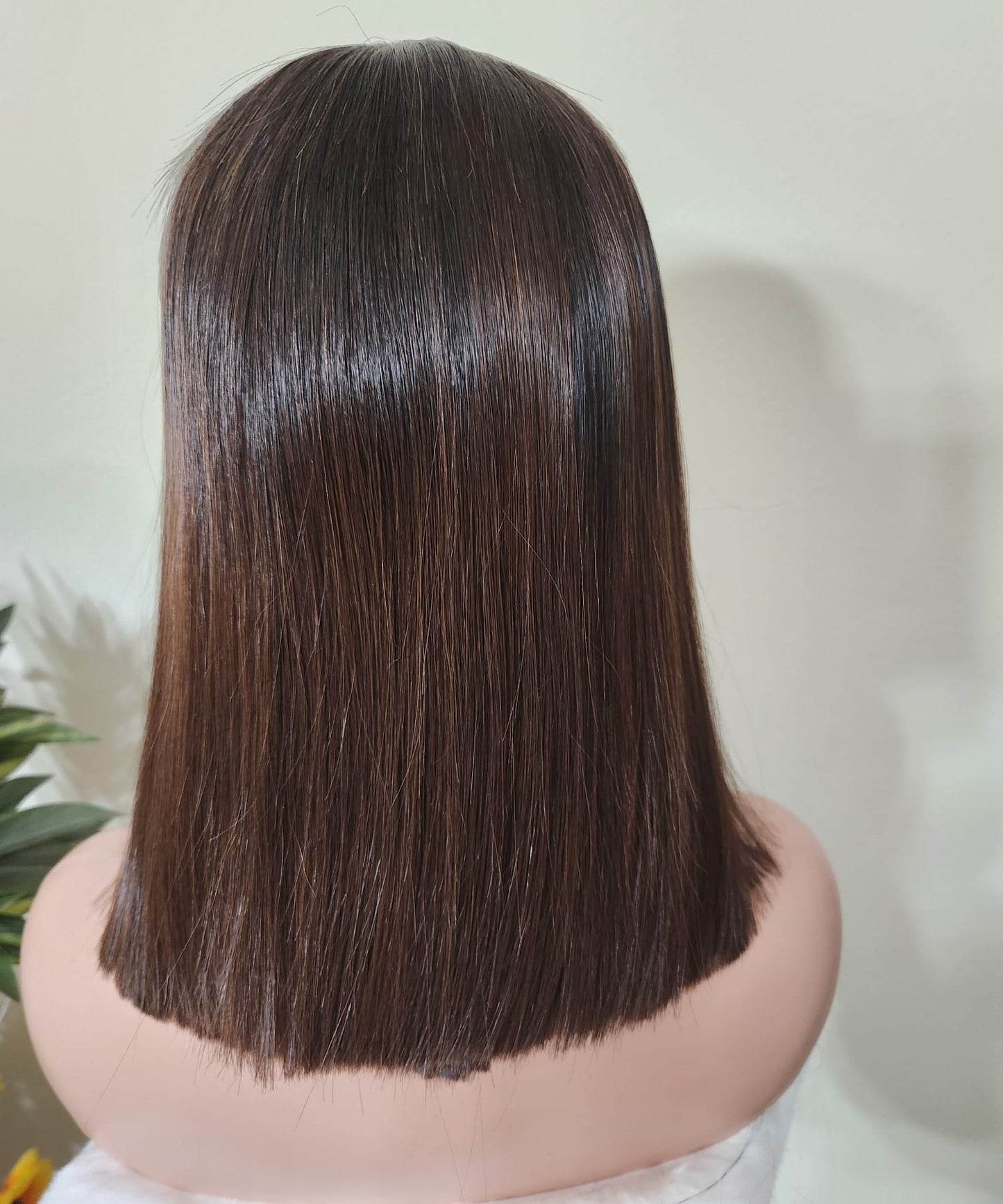 10" Vietnamese Raw Hair Bob Wig | 2x6 HD Lace Closure | Light Brown